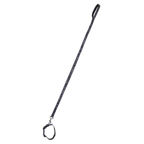 Dog Collar and Lead Set