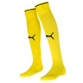 Meias de Goleiro Home 26/27 Adulto